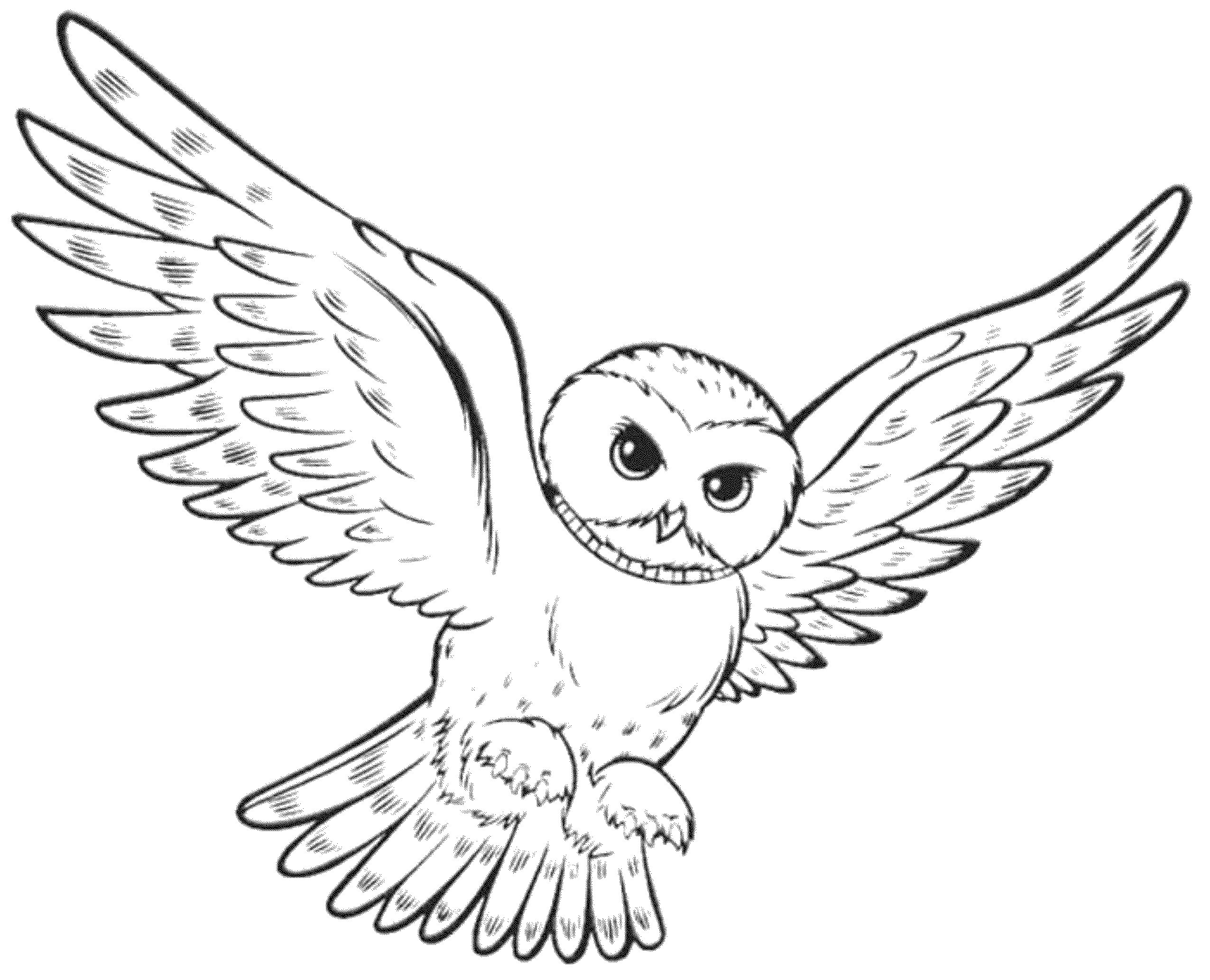 2551x2066 Owl Coloring Pages Easy Bird Copy For Kids
