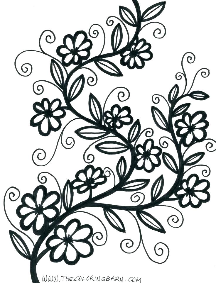 736x965 Easy Printable Flower Coloring Pages