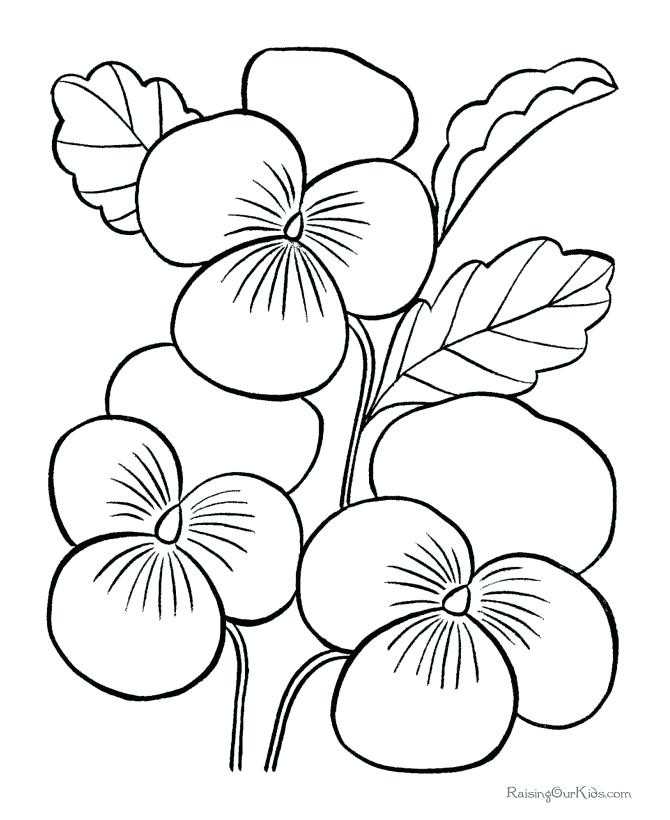 670x820 Easy Printable Coloring Pages Winsome Easy Printable Flower