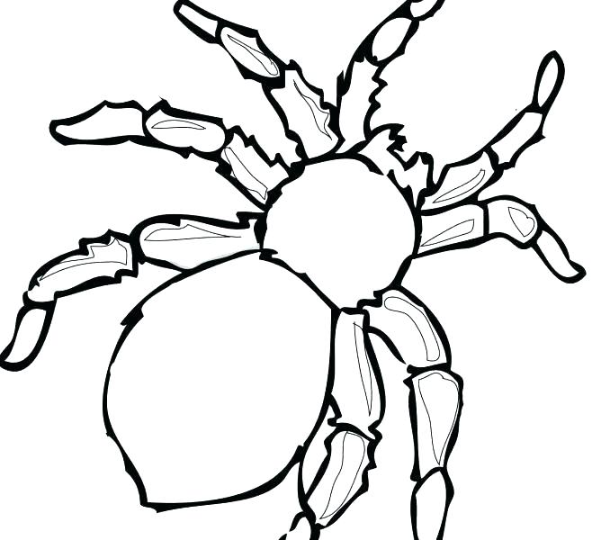 678x600 Spiderman Coloring Pages Easy