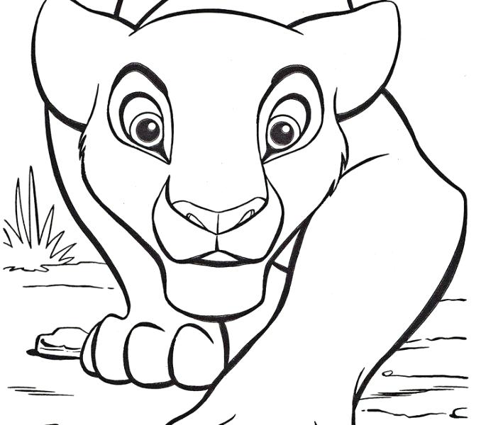 678x600 Easy Animal Coloring Pages Simple Animal Coloring Pages How