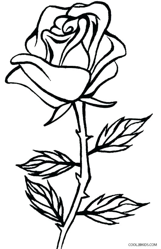 531x820 Coloring Pages Draw Easy Flowers Flower Page Printable Coloring