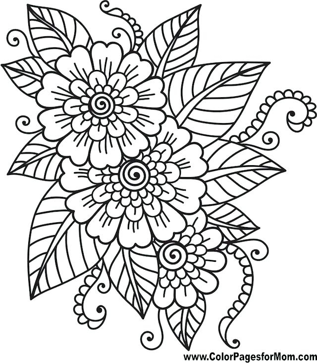 640x732 Adult Coloring Pages Flowers Easy Printable Color Amazing Adult