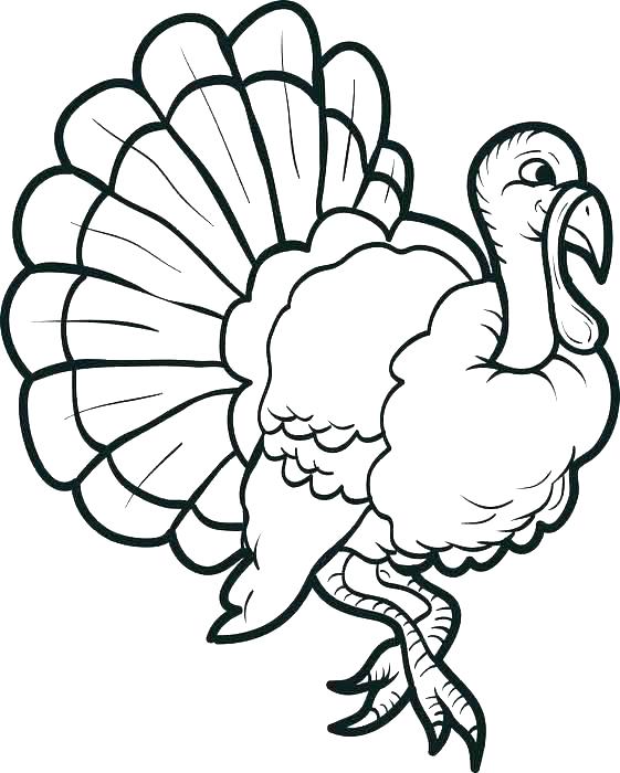 561x700 Turkey Coloring Pages For Preschoolers Coloring Book Turkey