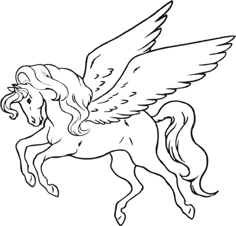 800x768 Easy Unicorn Coloring Plus Pictures Pages