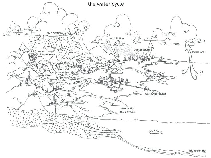 736x550 Water Pollution Coloring Sheets Best Exploring Ecology Images