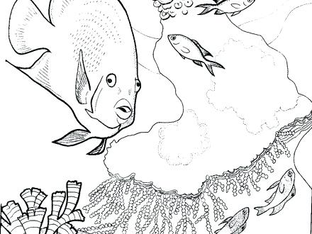 Ecosystem Coloring Pages at GetDrawings | Free download