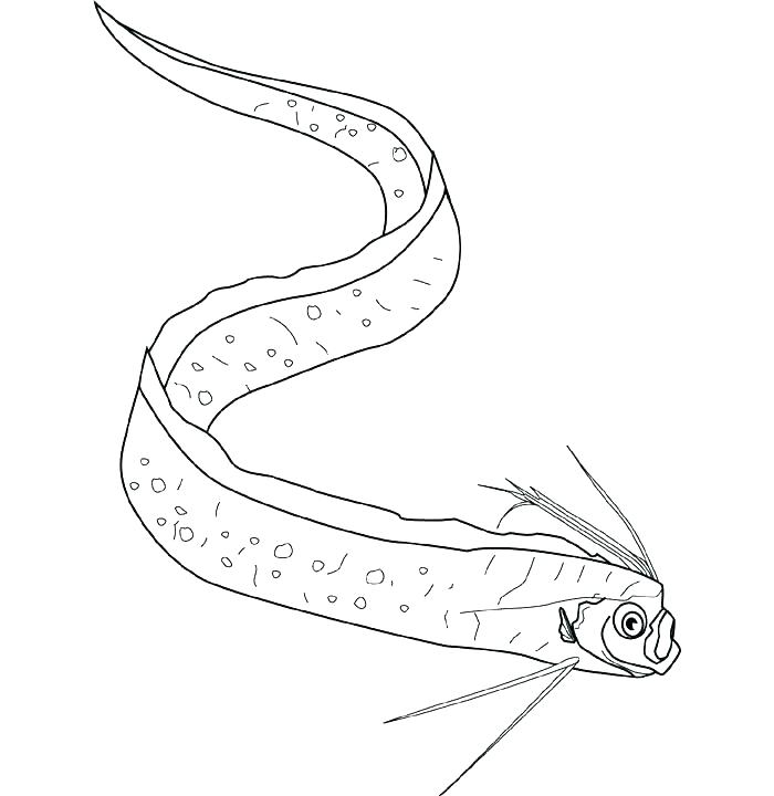 700x720 Eel Coloring Page Eel Coloring Pages Eel Coloring Pages Coloring