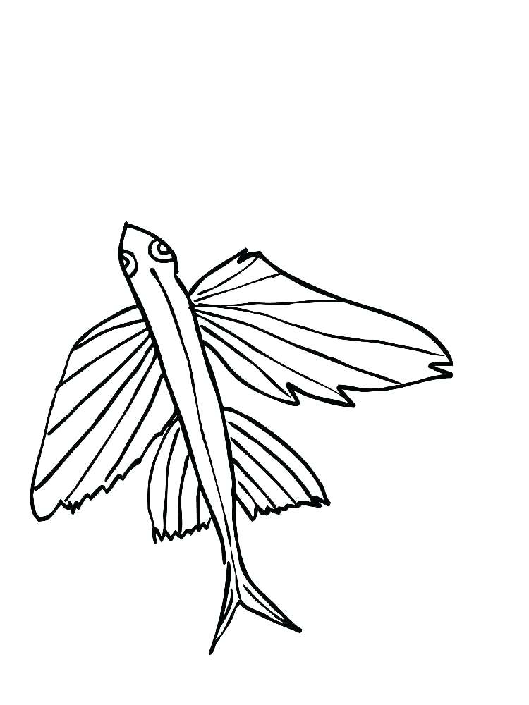 750x1000 Eel Coloring Page Flying Fish Coloring Pages Moray Eel Coloring