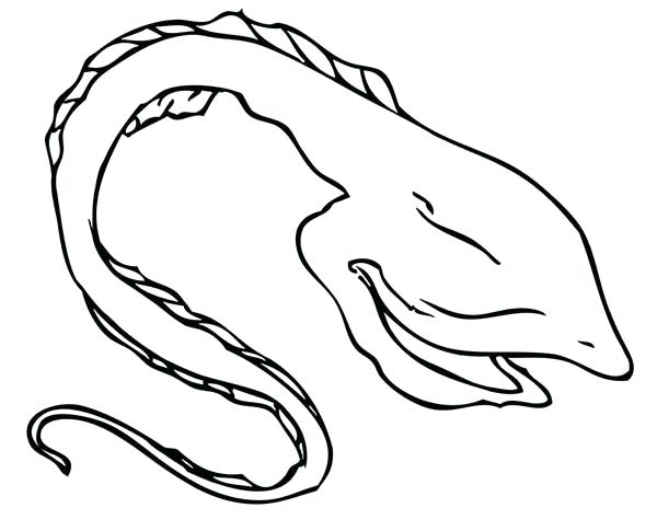 600x464 Eel Coloring Pages Gulper Eel Coloring Page Electric Eel Coloring