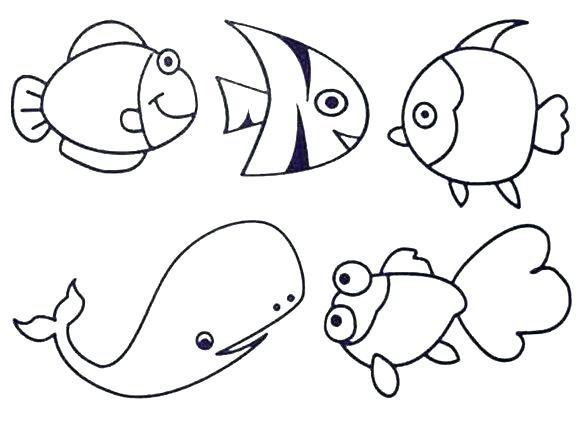 580x424 Electric Eel Coloring Pages Page Colouring