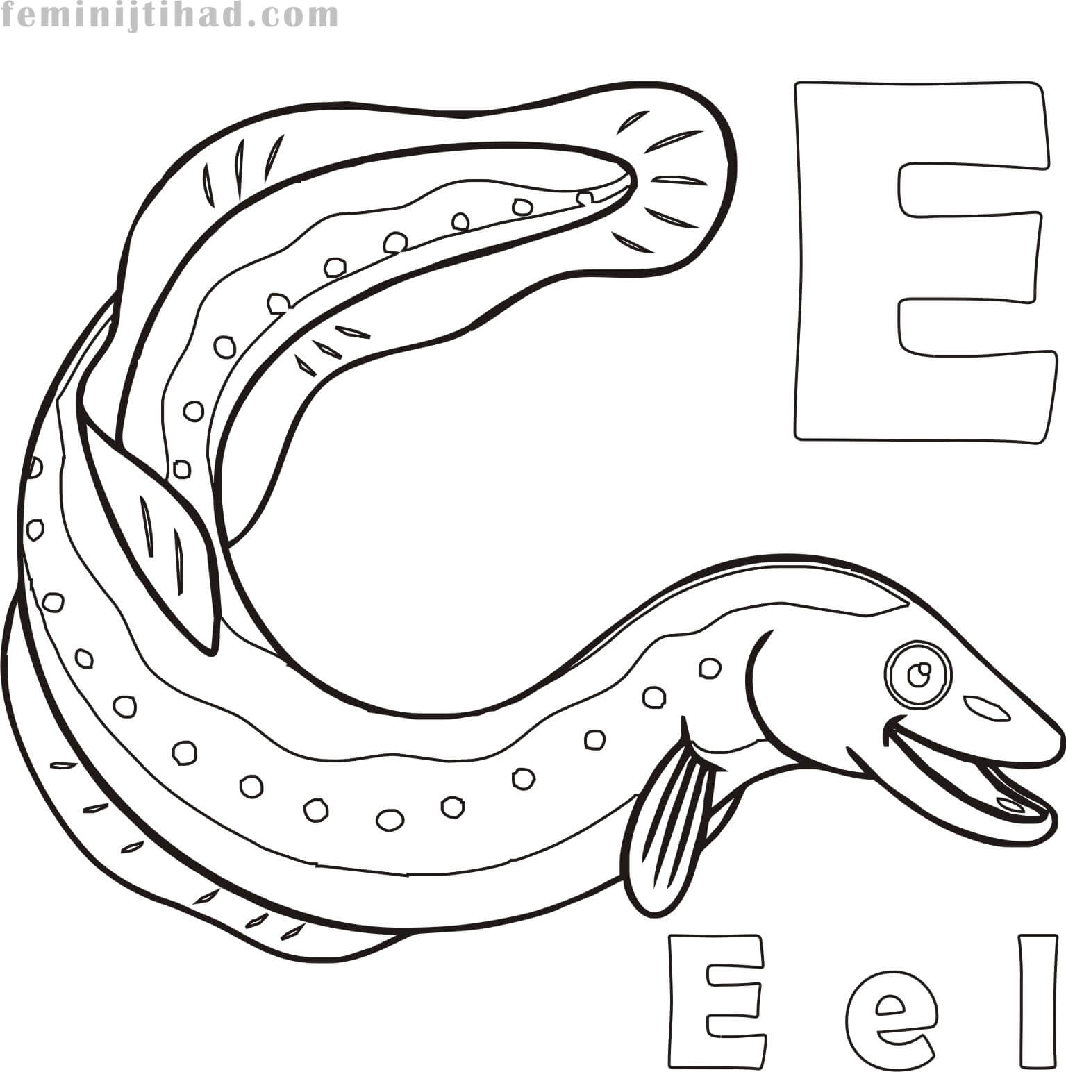 1535x1544 Free Eel Coloring Pages Printable Coloring Pages For Kids