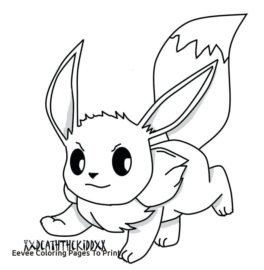 884x903 Launching Eevee Coloring Pages Page Home For To Print