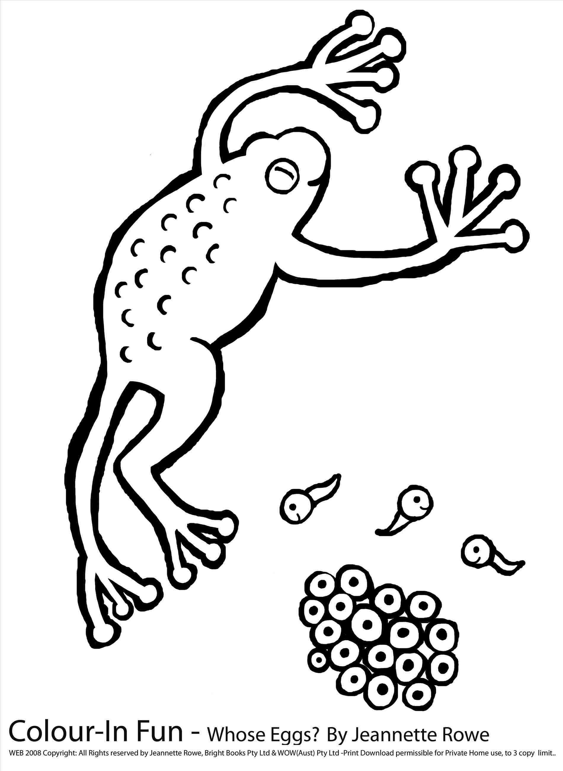 1900x2601 Egg Carton Coloring Page