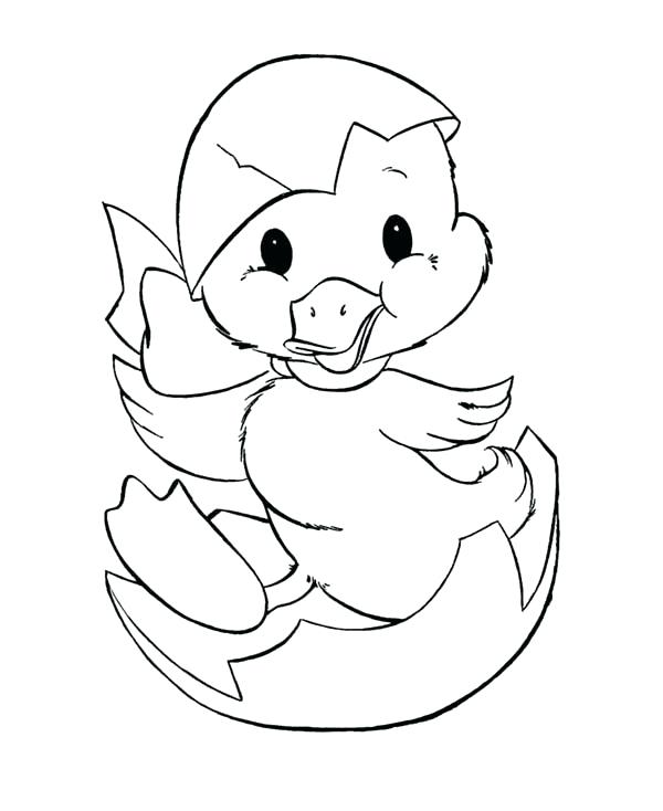 600x734 Egg Coloring Pages Duckling Just Hatching From Egg Coloring Page