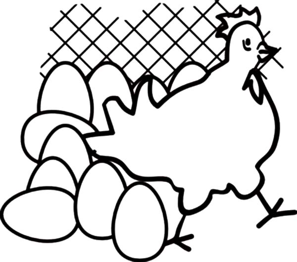 600x530 Hen Leaving Chicken Egg In Chicken Coop Coloring Pages