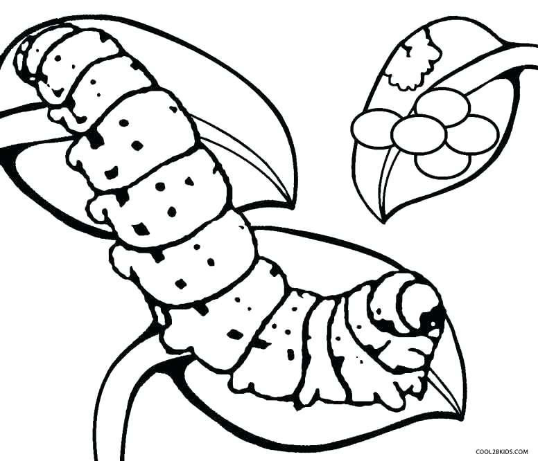 776x666 Egg Coloring Pages Caterpillar Egg Coloring Pages Egg Hunt