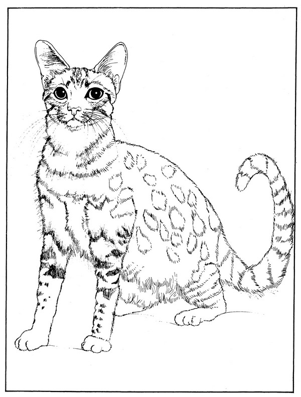 600x791 Egyptian Mau Coloring Page Creativetherapytools