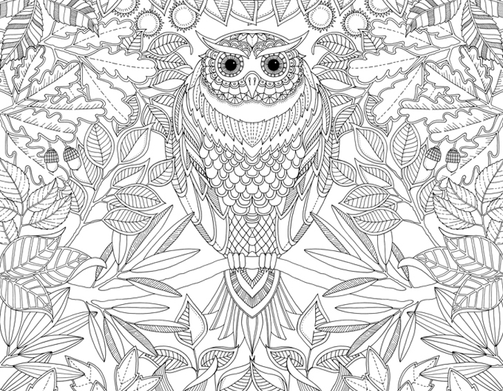 728x567 Coloring Books For Adults