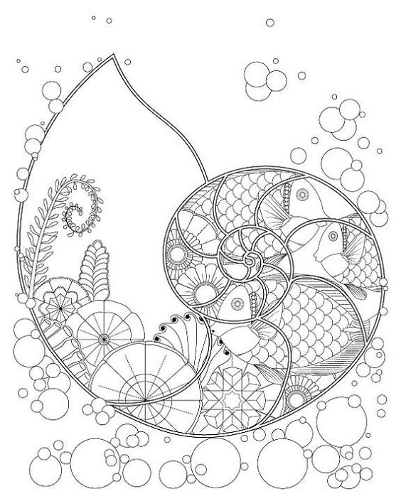 564x705 Fantasy Nautilus Shell With Ocean Plants Fish, Coloring Page