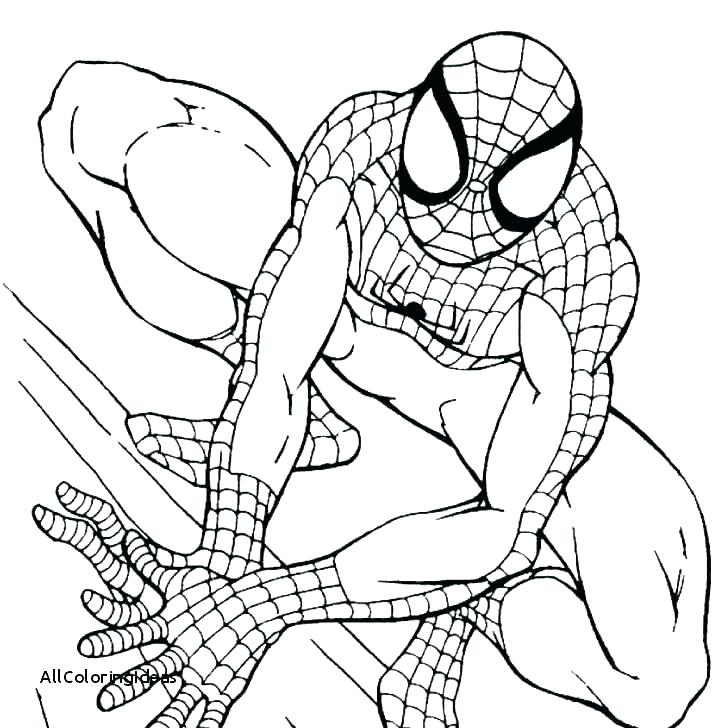 728x728 Spiderman And Venom Coloring Pages Coloring Pages To Print