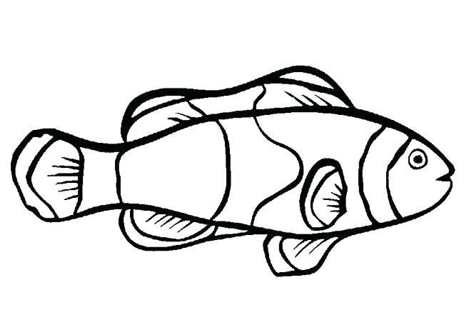 650x469 Eel Plus Eel Coloring Page For Kids Parramatta Eels Coloring Pages