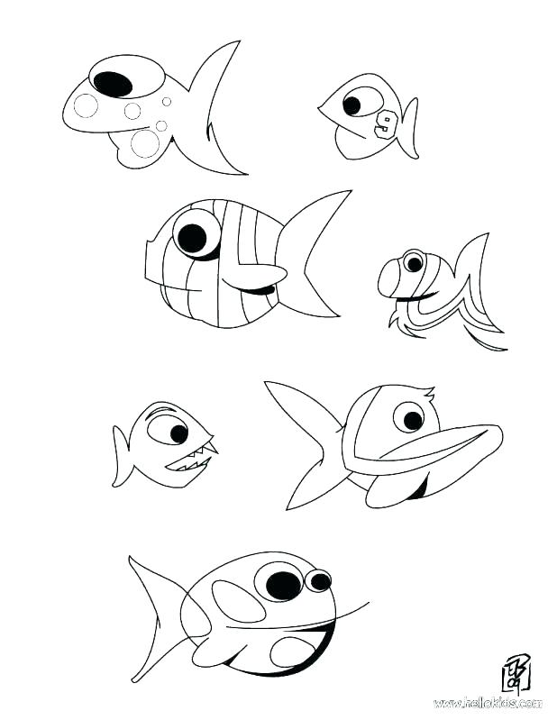 618x799 Electric Eel Color Slippery Fish Coloring Pages Eel Coloring Pages