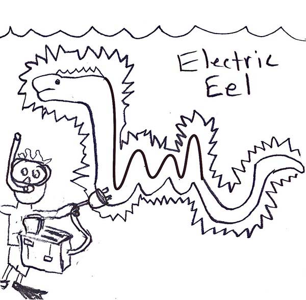 600x590 Funny Picture Of Electric Eel Coloring Page Color Luna