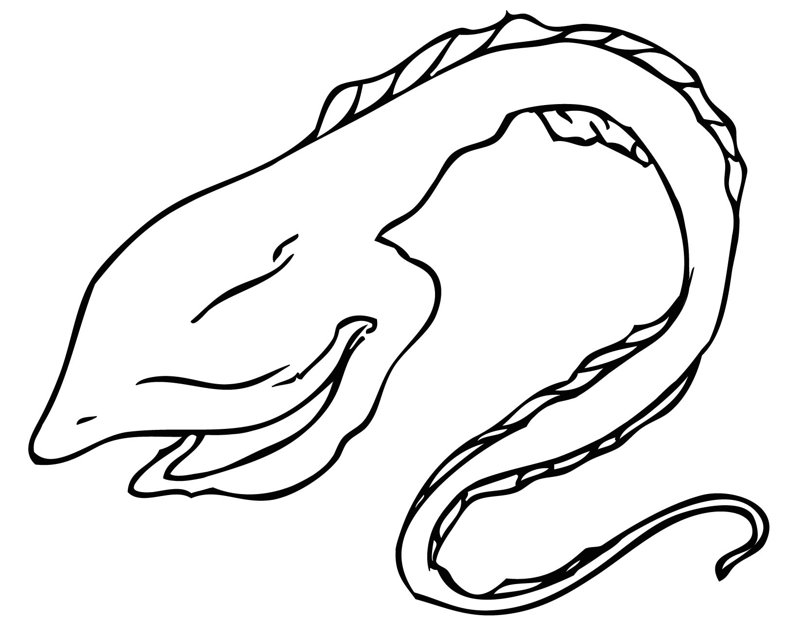 1650x1275 Gulper Eel Coloring Page