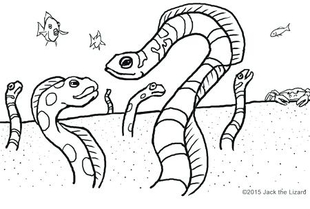 450x303 Eel Coloring Page Eel Coloring Pages Coloring Trend Thumbnail Size