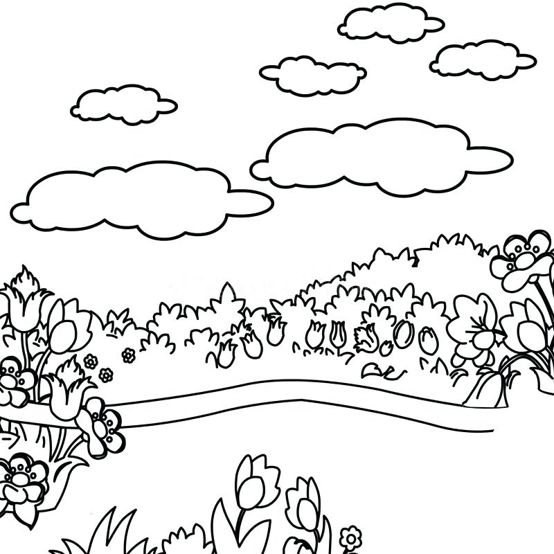 800x800 Flower Garden Coloring Page Download Flower Garden Coloring Page