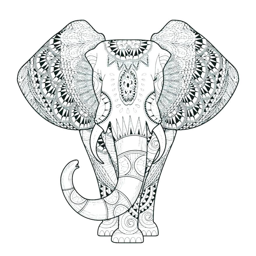 878x878 Coloring Pages Of Elephants Elephants Coloring Pages Elephants