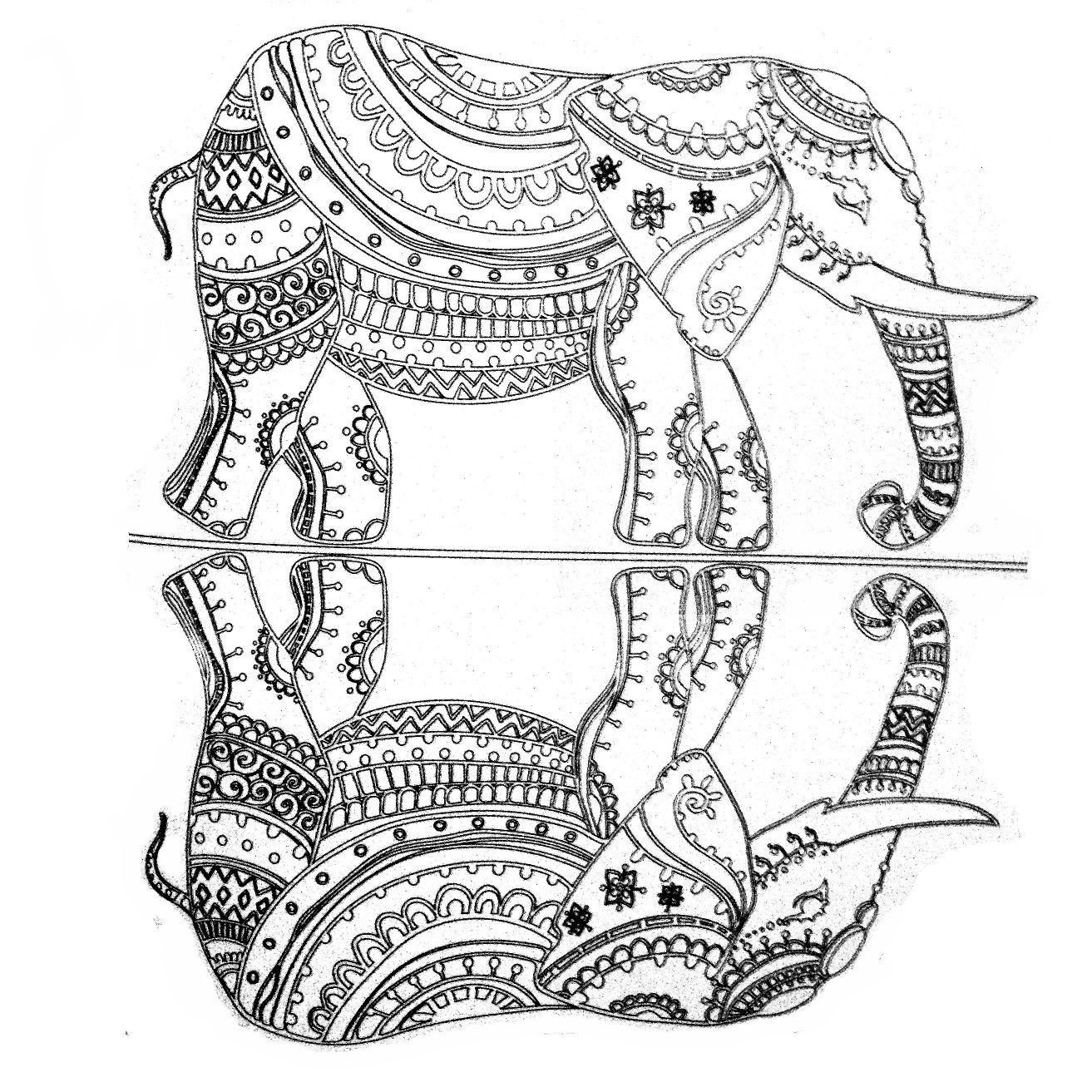 1313x1313 The Best Colors Of Nature Adult Colouring Book Elephant