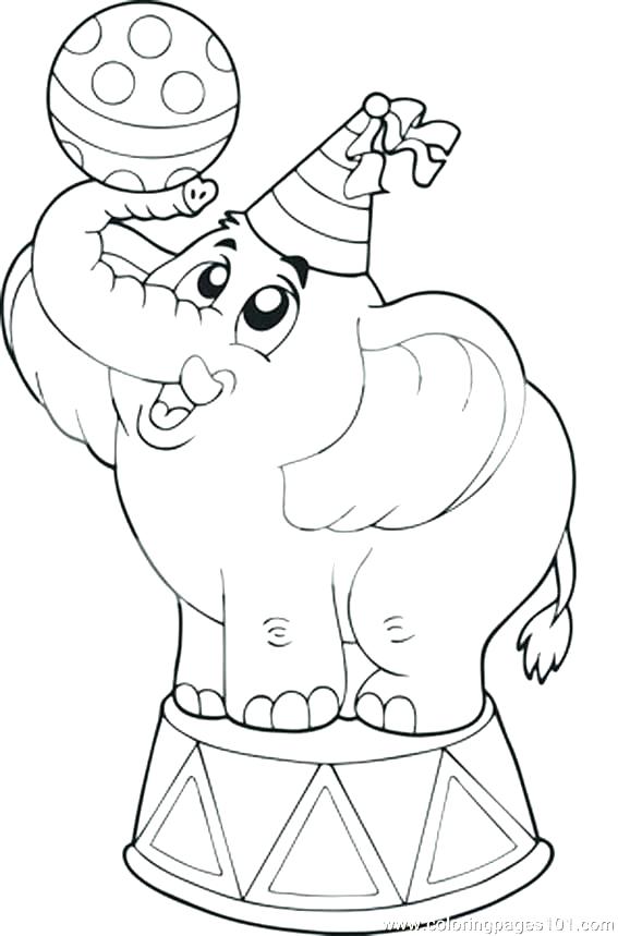 567x859 Cute Baby Elephant Coloring Pages Getcoloringpagesorg Adorable