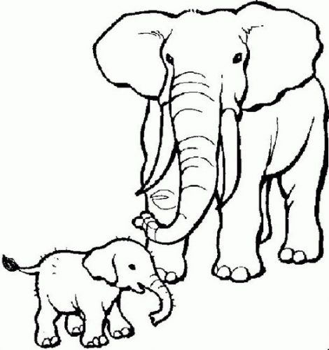 470x500 Coloring Page Elephant Coloring Pages