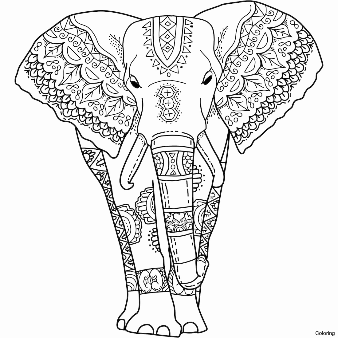 1100x1100 Coloring Page Elephant Color Page Splendid Coloring Stock Vector