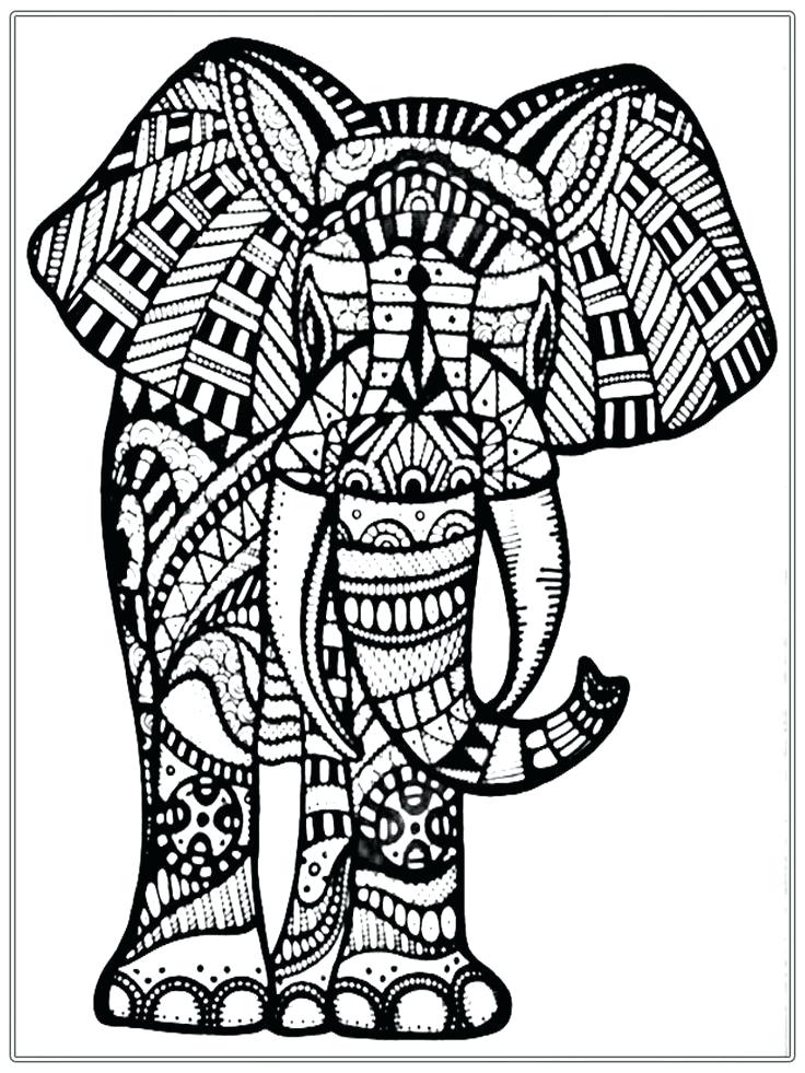 736x981 Elephant Adult Coloring Page Elephant Coloring Sheet Elephant
