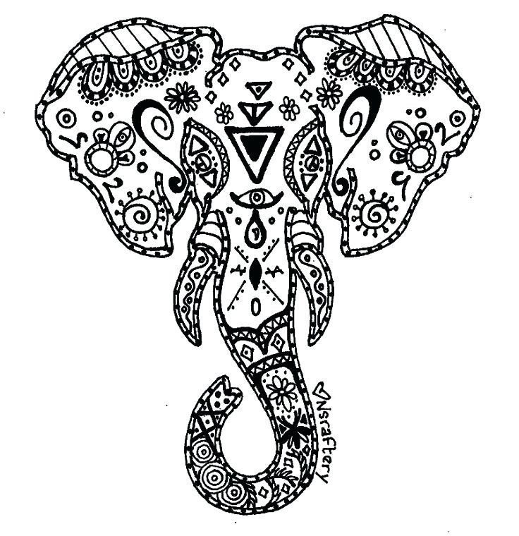 736x760 Free Printable Elephant Coloring Pages For Adults