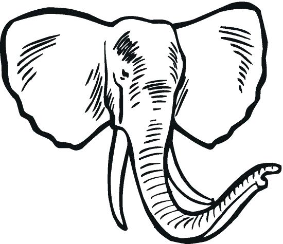 550x475 Elephant Free Printable Elephant Coloring Pages Elephant Coloring