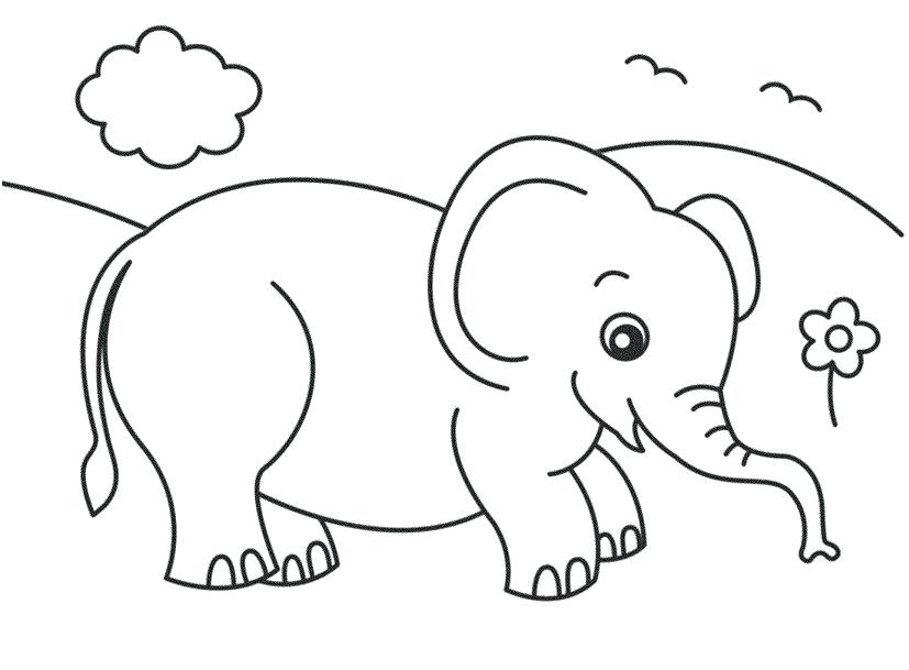 827x609 Free Printable Elephant Coloring Pages Kids Coloring Pages