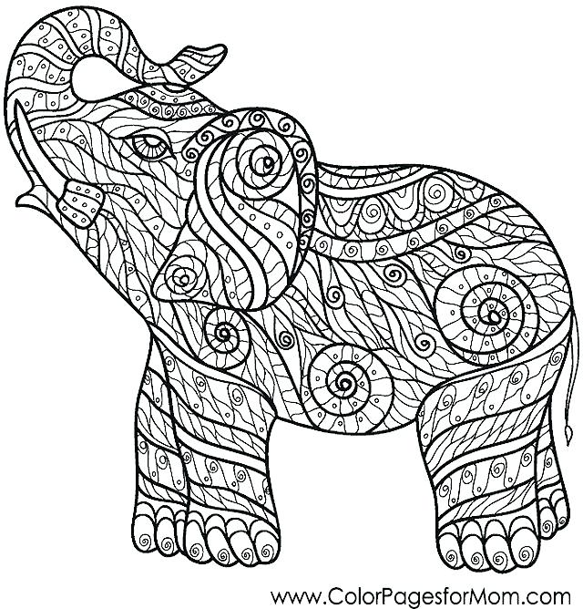 640x668 Baby Elephant Color Page Printable Coloring Pages Medium Size Of C