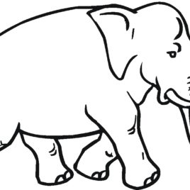 268x268 Elephant Coloring Pages For Kids All About Coloring Pages