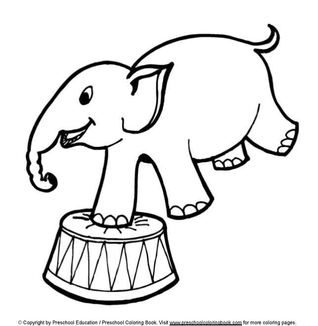 643x660 Circus Elephant Coloring Pages