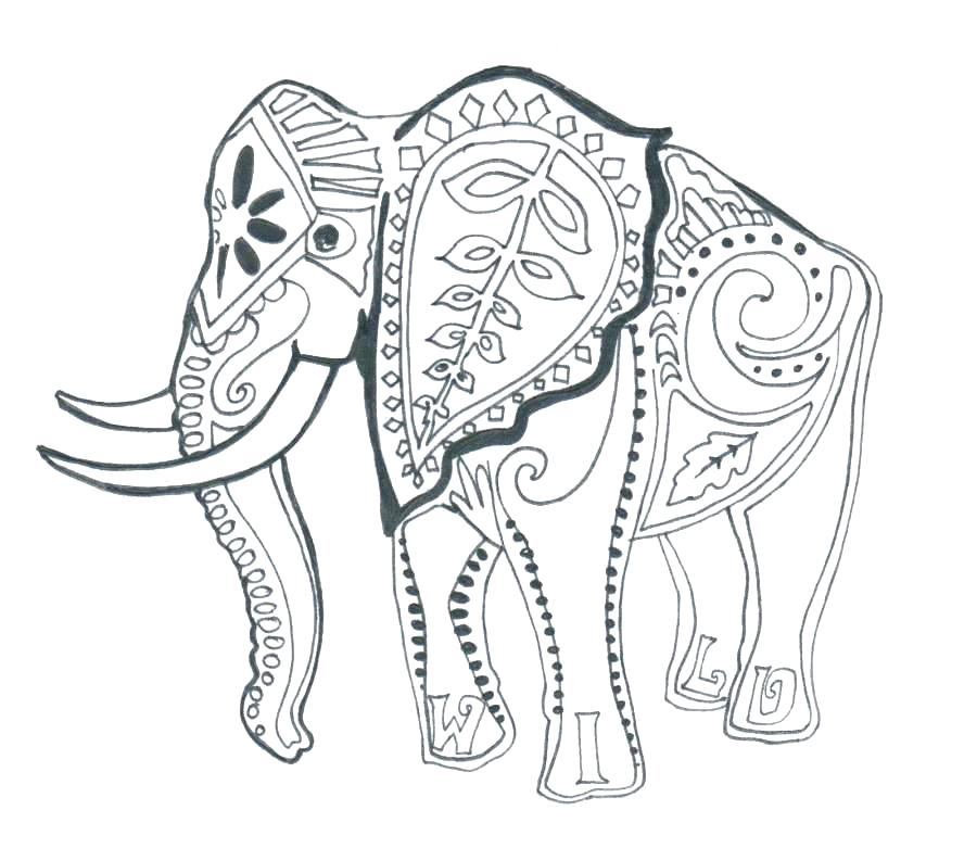 900x781 Coloring Pages Elephants Coloring Page Elephant Coloring Pages