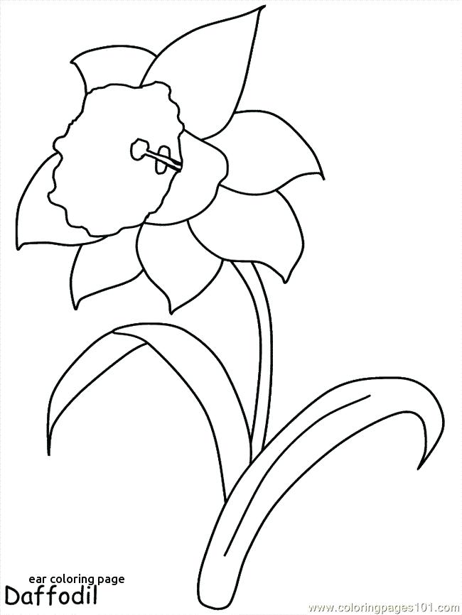 650x866 Ear Coloring Page Best Coloring Pages Images On For Ear Coloring