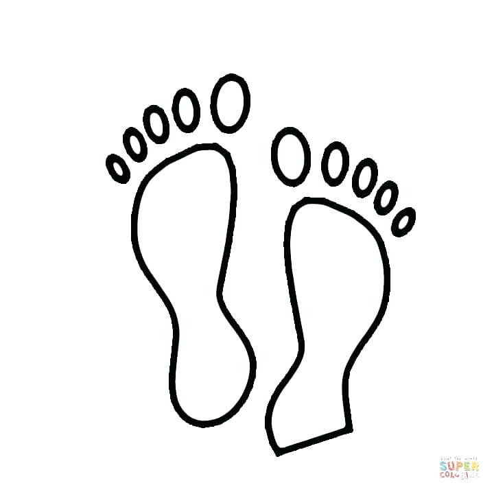 720x720 Ear Coloring Page Coloring Pages Coloring Sheets Pointed Ear Is