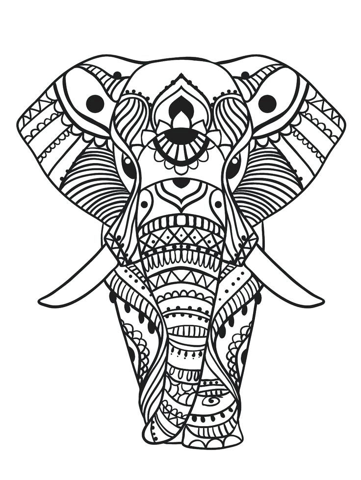 736x980 Elephant Head Coloring Page Color Mind Coloring Pages For Kids