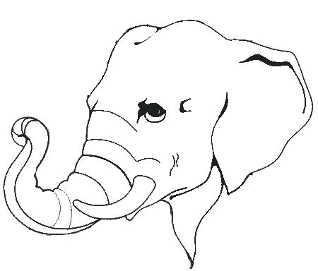 450x384 Elephant Head Coloring Page Elephant Head With Tusks Coloring Page