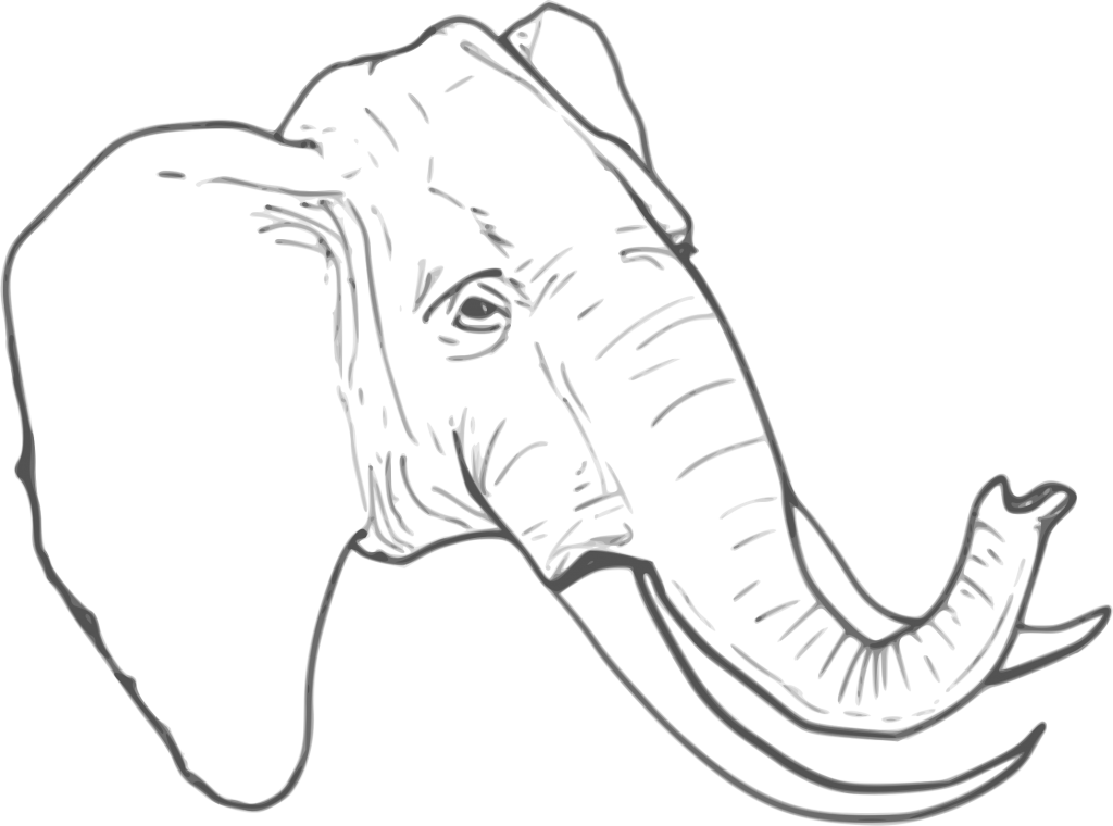 1024x760 Elephant Head Coloring Pages Bgcentrum