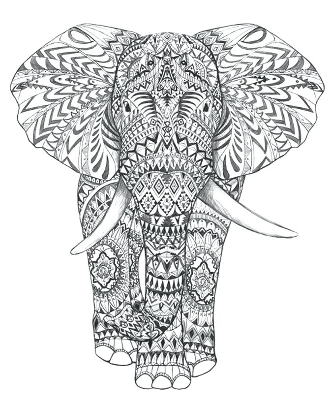 675x825 Coloring Pages Of Elephants Or Coloring Pages Elephant Awesome